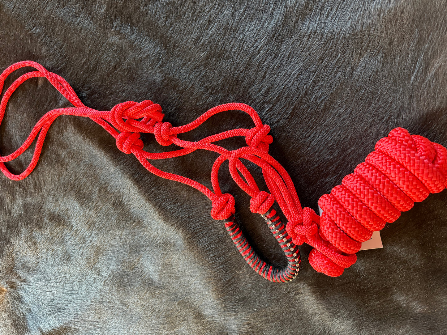 Rugged Ride Paracord Halter With Bling And Matching 6 foot Lead