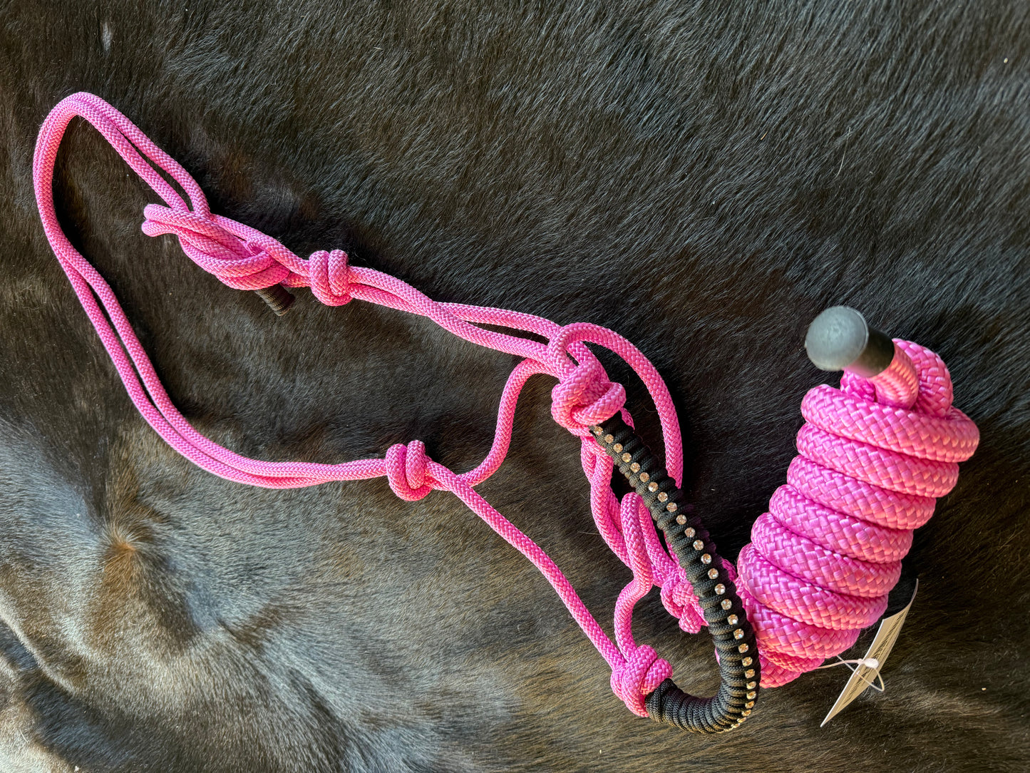 Rugged Ride Paracord Halter With Bling And Matching 6 foot Lead