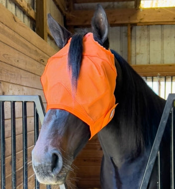 Rugged Ride Bright & Bold Rip Resistant Mesh Fly Mask - Forelock Hole - No Ears