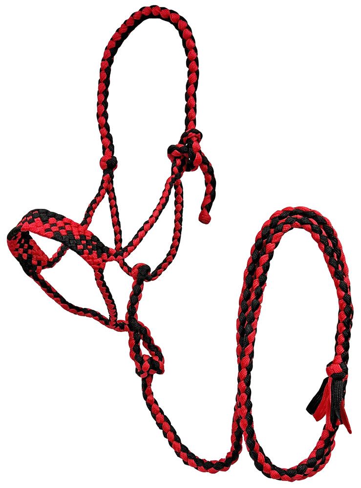 Rugged Ride Braided Mule Tape Halter With 10 foot Lead - Multi Colored